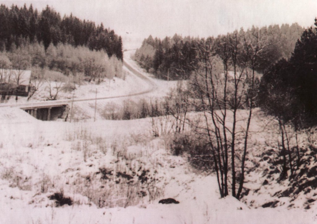 Kelias į Betygalą.
