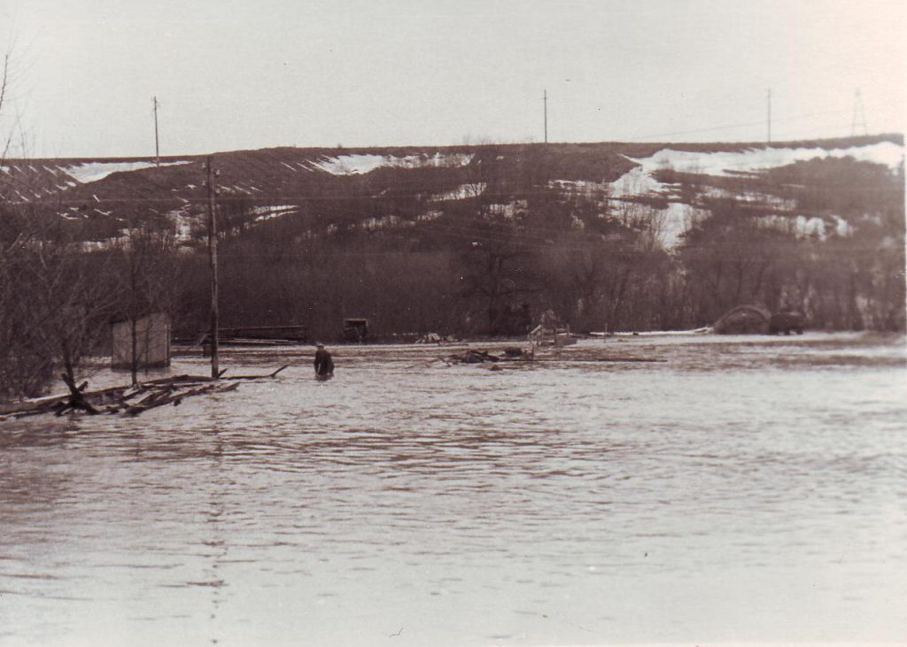 Potvynis