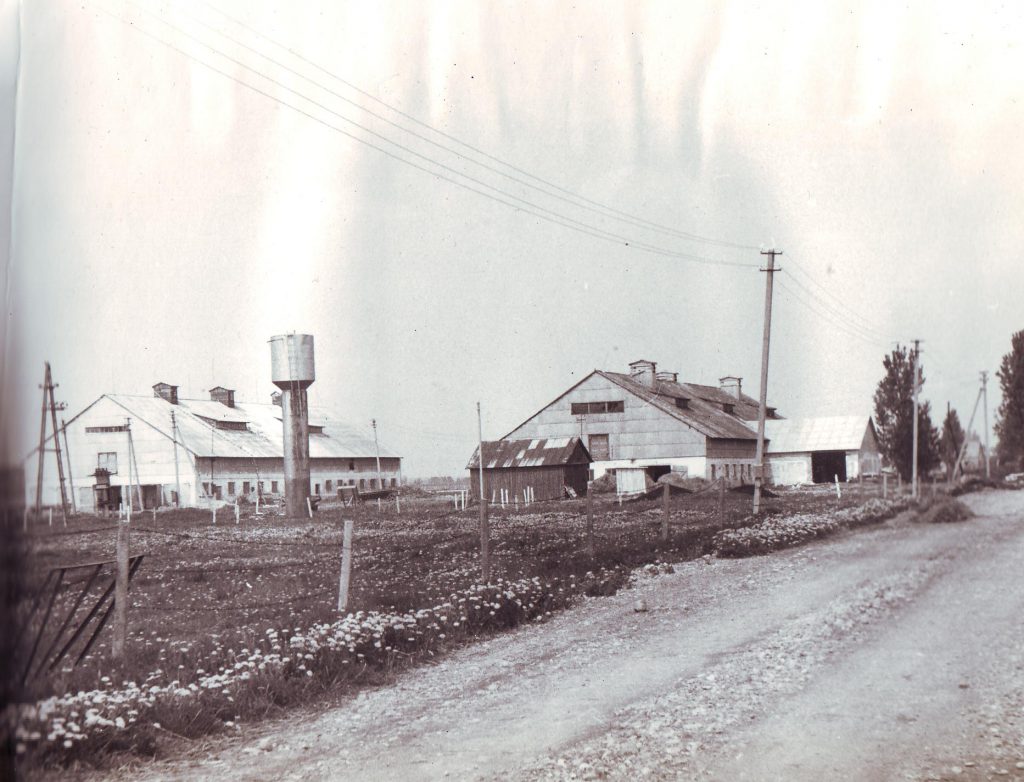 Lenčiai